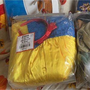 Womens Snow White costume